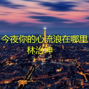 今夜你的心流浪在哪里