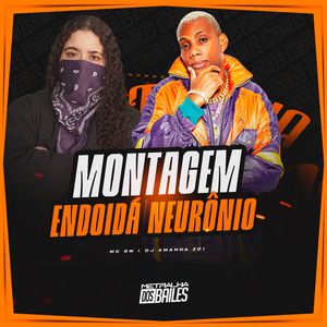 Montagem Endoida Neurônio