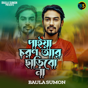 পাইয়া চরণ আর ছাড়িব না