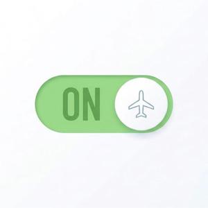 Flight Mode
