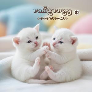야옹 야옹 귀염둥이 고양이