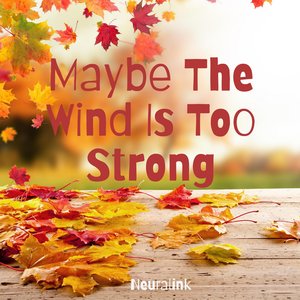 But There Is No Need To Separate