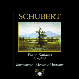 Piano Sonata in G Major, Op. 78, D. 894: II. Andante