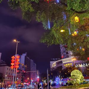 别冲浪了！回归现实吧Ծ‸Ծ