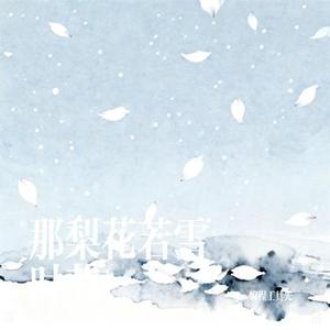 那梨花若雪时节