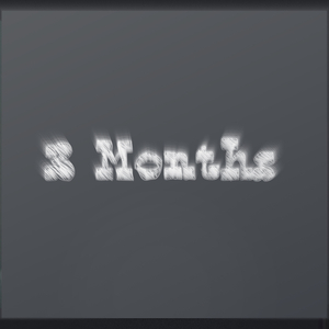 3 Months