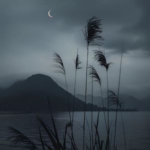 别留下太多遗憾