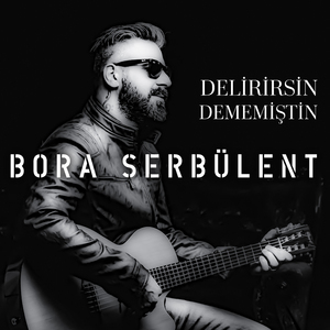 Delirirsin Dememiştin