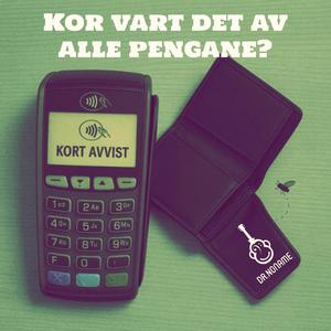 Kor vart det av alle pengane?