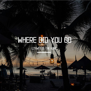 Where did you go 伴奏