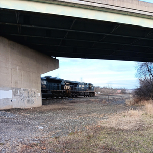 Where Is Your Loyalty?