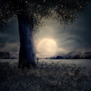 Unfulfilled promise (지키지 못한 약속)