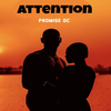 Promise Dc - Attention