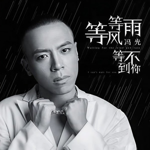 等风等雨等不到你 (DJ光波版)