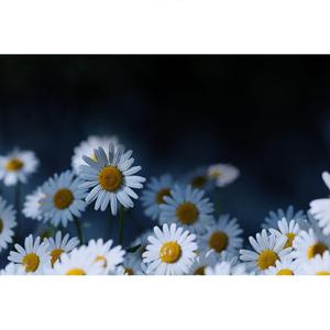 괜스레 그리운 날