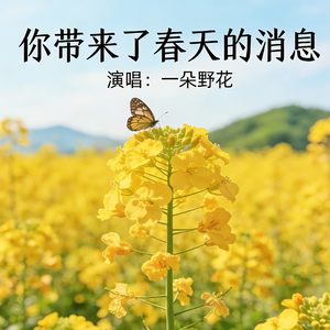 你带来了春天的消息