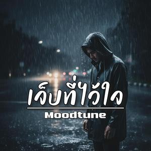 เจ็บที่ไว้ใจ