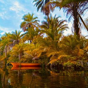 Meu Amor é a Natureza