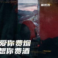 爱你费烟想你费酒 (DJ默涵版)