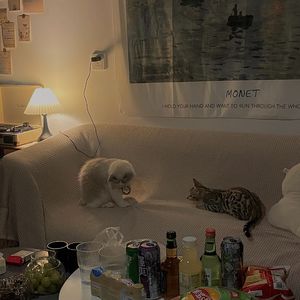 0912（prod.utopia.kid）