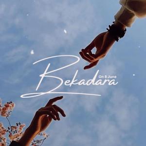 Bekadara
