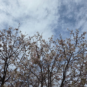 愛する人よ (feat. スミーキラー) [ばーじょんぜろ]