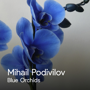 Blue Orchids