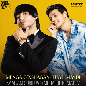 Menga o`xshagani tug`ilmaydi (Remix)