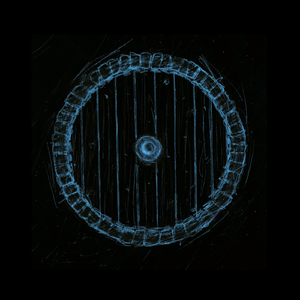 Shaolin Style (feat. Short Round, Ab$-Grit, Ray Davis & *)