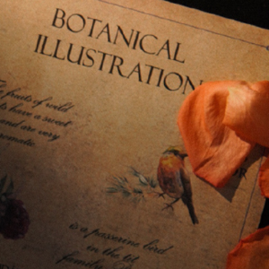 删除delete（PROD MEGA）