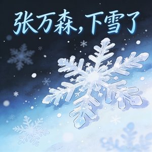 张万森，下雪了