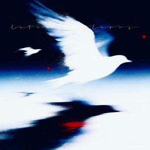 late night lover（午夜恋人）