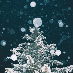 서울, 크리스마스