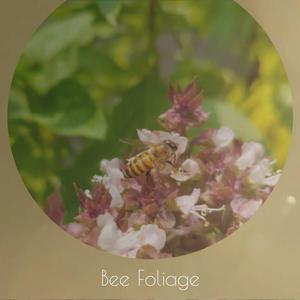 Arrogant Eventration