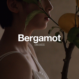Bergamot