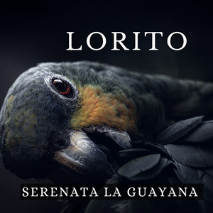 Lorito