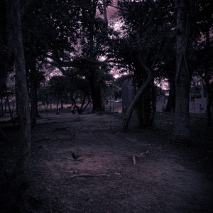 (Jamais) Achados e (Sempre) Perdidos