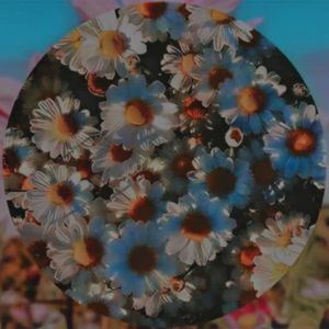 Bloom's (Instrumental Version)