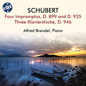 4 Impromptus, Op. 90, D. 899:No. 1 in C Minor
