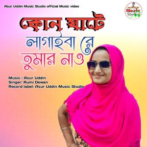 কোন ঘাটে লাগাইবা রে তুমার নাও