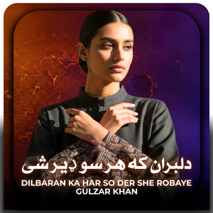 Dilbaran Ka Har So Der She Robaye