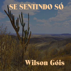 Se Sentindo Só