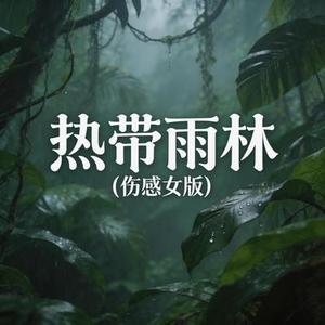 热带雨林 (伤感女版)