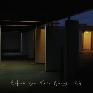 Before You Turn Away