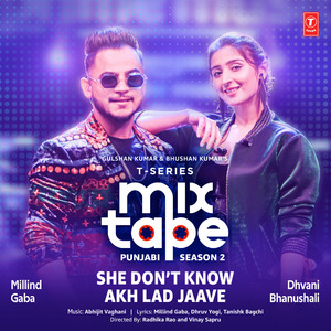 She Don'T Know-Akh Lad Jaave (From "T-Series Mixtape Punjabi Season 2")