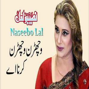 Tu Vichran Vichran Karni