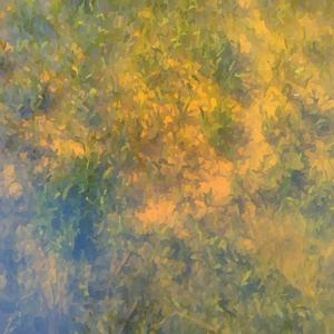 Taciturne (LABS Soft Piano version)