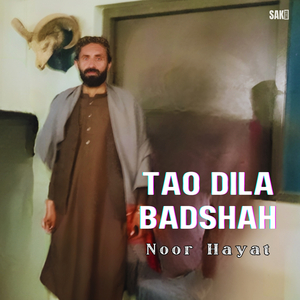 Tao Bichar Majboori Ha
