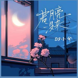 若月亮没来 (DJ版)