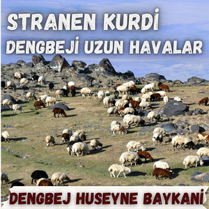 Havar Delal